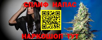 PSILOCYBIN Будённовск
