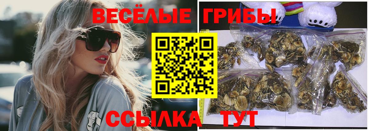 Галлюциногенные грибы прущие грибы  Вход с VPN  Семилуки 