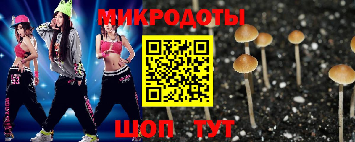 Галлюциногенные грибы мицелий Семилуки